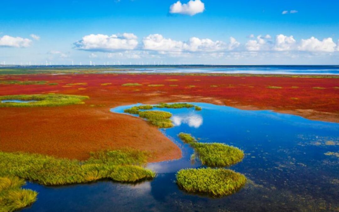 2023 World Coastal Forum