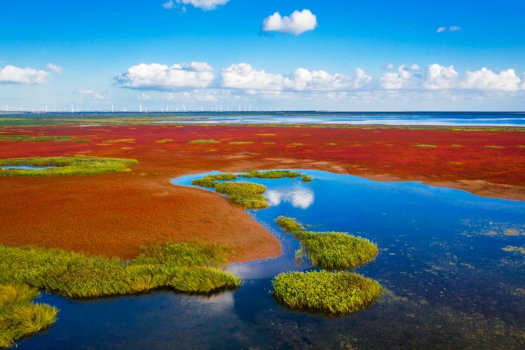 2023World Coastal Forum_副本