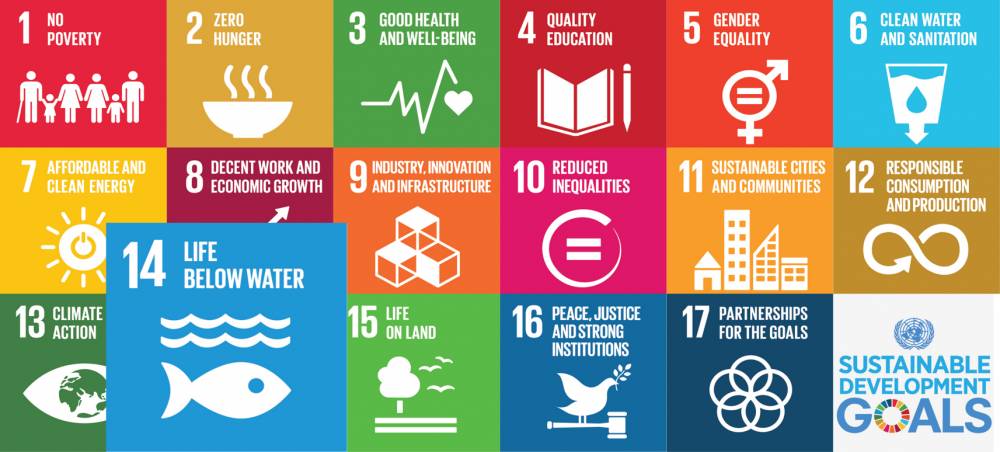Oceans, Seas & Coasts in UN Sustainable Development Goals