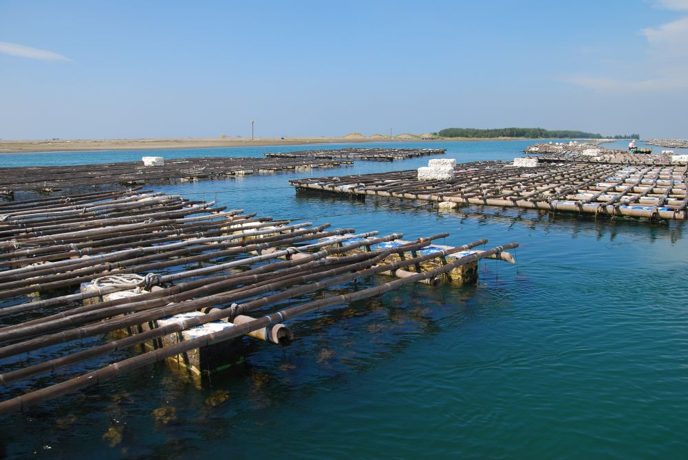 Invitation to Join Future Earth Coasts Community