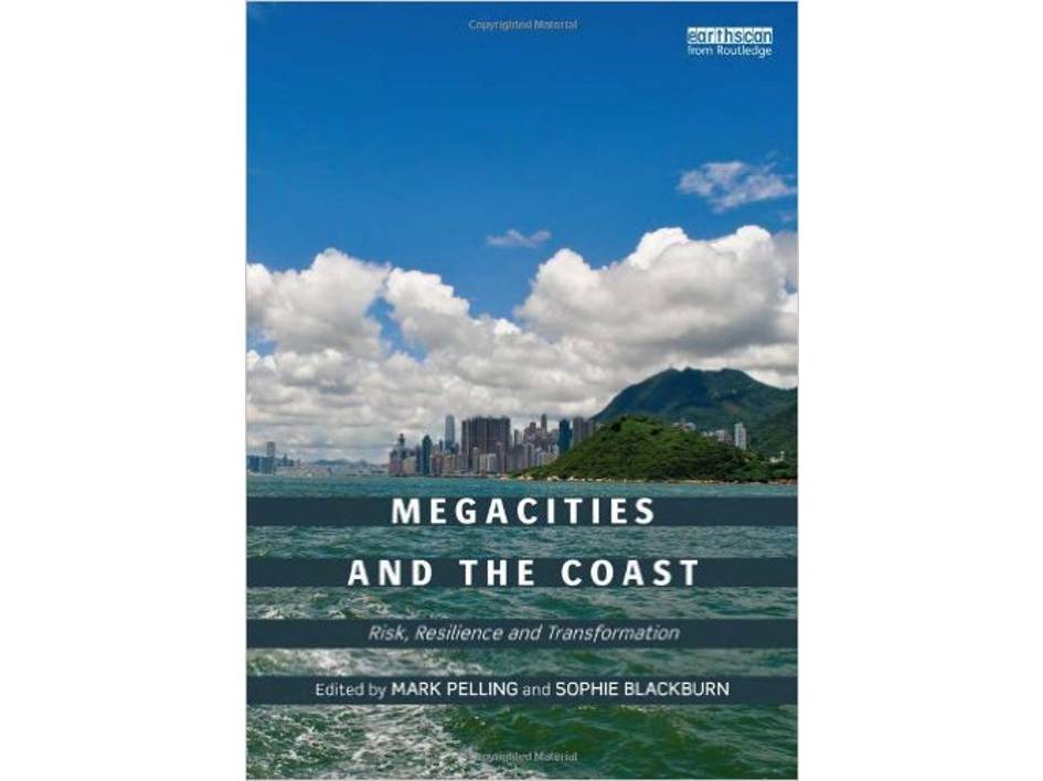Megacities and the Coast Risk, Resilience and Transformation