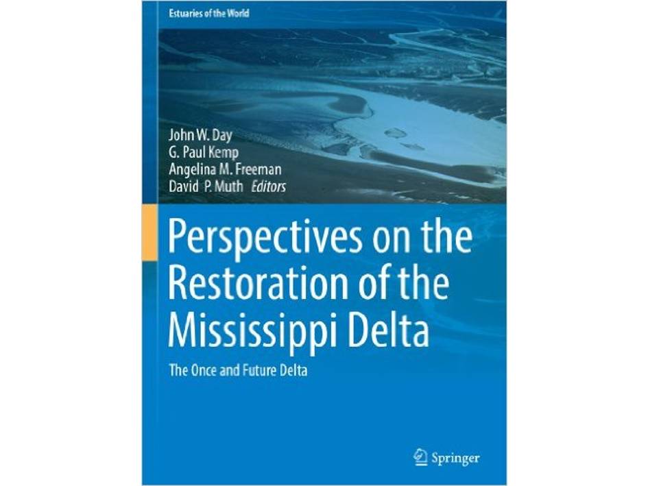 Perspectives on the Restoration of the Mississippi Delta
