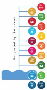 SDG14 & SDGs