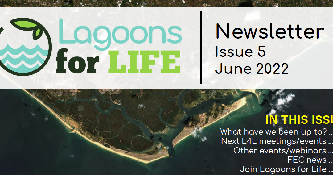 6th L4L Newsletter (Jan 2024)